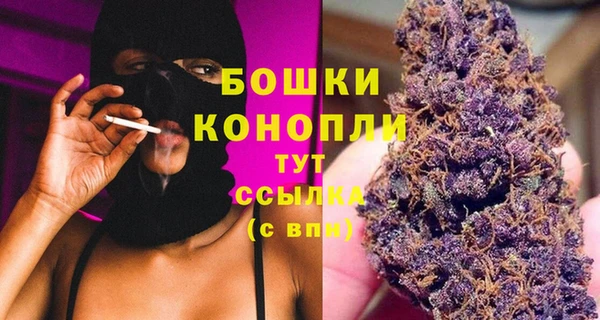дурь Богородицк