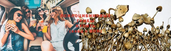 дурь Богородицк