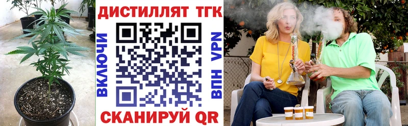 ТГК THC oil  купить закладку  Елизаветинская 
