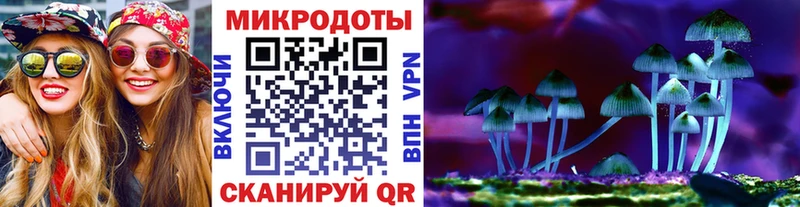 цена наркотик  Елизаветинская  Галлюциногенные грибы MAGIC MUSHROOMS 