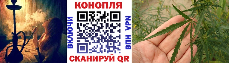 Бошки марихуана AK-47 Елизаветинская